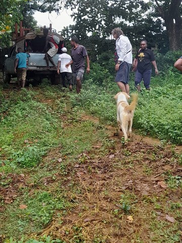 Arrivée par la route