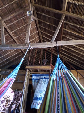 Toiture en Ravenalla