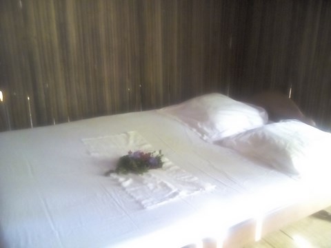 Cabane TiCase 15 m² dedans